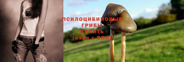 ПСИЛОЦИБИНОВЫЕ ГРИБЫ Абинск