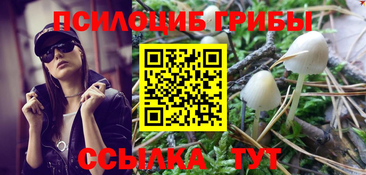 Галлюциногенные грибы мицелий  Вход с VPN  Тула  Псилоцибиновые грибы мицелий 